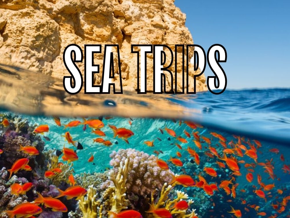 Sea ​​Trips