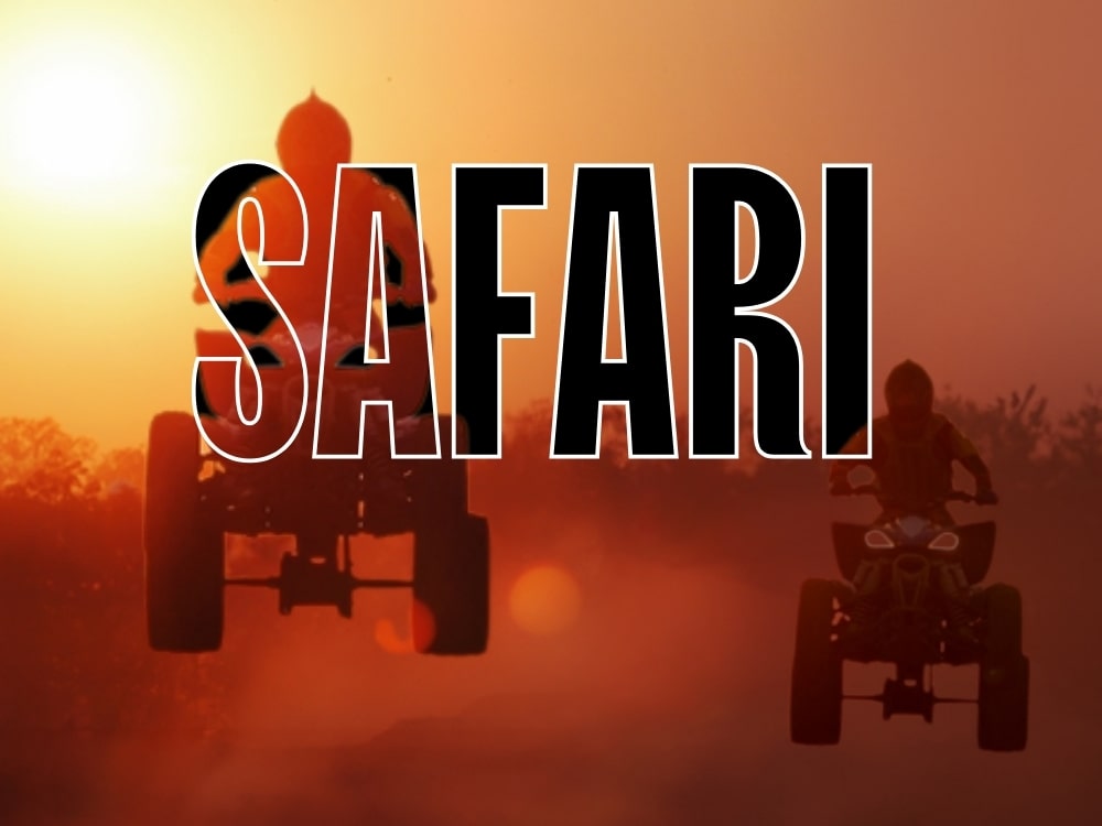 Safari