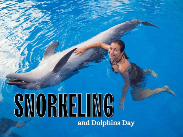 Snorkeling and Dolphins Day