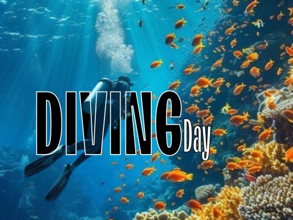 Diving DAY