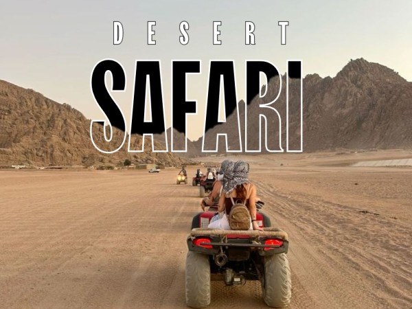 DESERT SAFARI