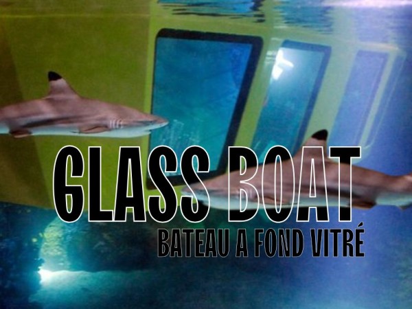 GLASS BOAT